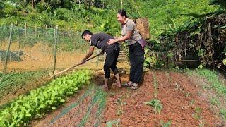 Going to the market - growing vegetables, gardening and love between two people