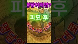 땅은 생각이 없다?!  파묘 후 명당의 기운은 그대로?!  #명당 #명당찾기 #파묘#파묘후명당효과는
