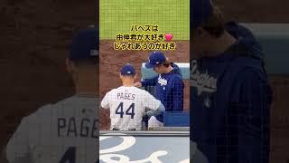 #パヘズ#ドジャース#山本由伸