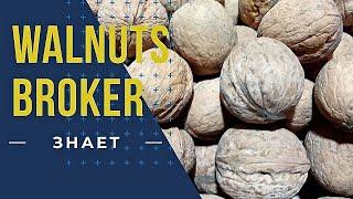 Осыпаются зеленые орехи... Что делать? Узнай в Walnuts Broker