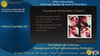 The Nightmare Continues: Management of Post-Sphincterotomy Perforation