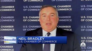 Whether antitrust actions can bring down prices: U.S. Chamber of Commerce's Neil Bradley