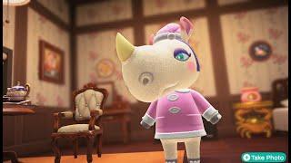 Animal Crossing Happy Home Paradise: Rhonda A Home for Pleasant Dreams