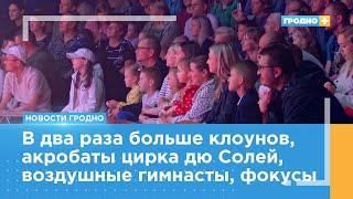 Цирк «Сириус» приехал в Гродно с новой программой «Тайна планеты обезьян»