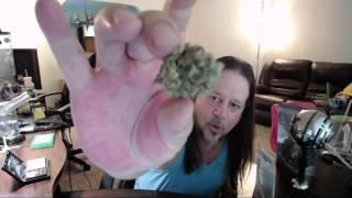 Making Rosin with the Hurtin Hippie