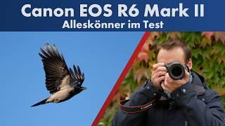 Canon EOS R6 Mark II | Der neue Star für Sport- & Tierfotografie? [Deutsch]