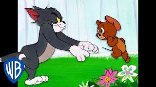 Tom & Jerry | Run, Jerry, Run! | Classic Cartoon Compilation | WB Kids