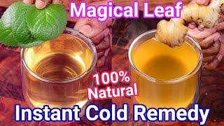 Instant Cold Remedy with Ajwain Leaves - Ajwain Herbal Drink Tea | Doddapatre Kashaya Drink