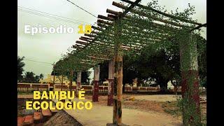 Episódio 18- Bambu é ecológico – Arquitecto Vino – Morrumbene