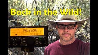 QRP Radio in the Fall Colors of New Mexico.  CW Morse code.
