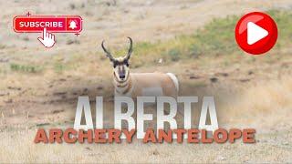 Alberta Archery Antelope Hunt - 11 Year Draw Tag