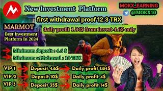 MARMOT|New Investment Platformregister & get 10,000deposit 4.6_daily withdrawal 1.84#crypto