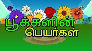 Tamil Flowers Names | Different Type of Flower Names For Tamil – KidsTv Sirukathaigal