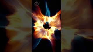 Make a Wish – Awaken the Energy of Divine Alignment and Miracles