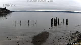 Shilshole Bay Livestream from the Ballard Elks Paddle Club