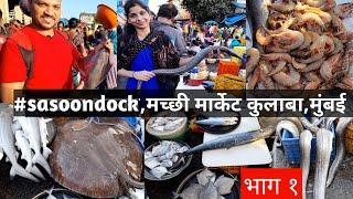 #sasoondock मच्छी मार्केट कुलाबा,मुंबई || ताजी आणि जिवंत मच्छी कमी दरात kg/वाटा || #miraigadkar06