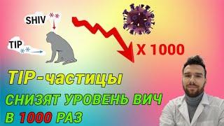 Они снижают уровень  ВИЧ в 1000 раз. TIP-частицы. Новый экспериментальный препарат от ВИЧ.