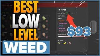 Best Weed Mixer In Schedule 1 | Low Level  | $150 $170 Per Bud
