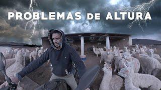 TORMENTA ELÉCTRICA afecta a POBLADORES y ALPACAS en PERÚ | Vuelta al mundo en moto | Cap#02