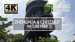 Zhenghua Nature Park & Chestnut Nature Park - Hiking Singapore - 4K HDR