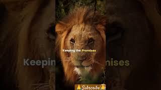 "Promises Build Confidence  | Lion Style Motivation | Life Changing Short