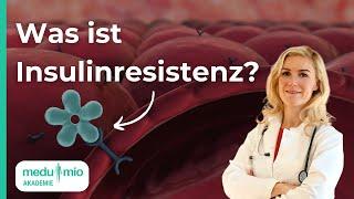 Hormone: So wirkt Insulinresistenz auf Deinen Stoffwechsel 🩺​ Dr. Simone Koch