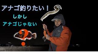 Foreigner in japan try catching sea eel fish, catch & cook / アナゴ釣る