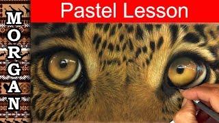 Pastel Pencil Drawing techniques, Wildlife art tutorial - Jason Morgan