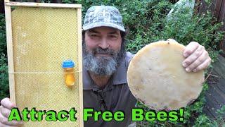 How To Attract Bees To Your Bee Box