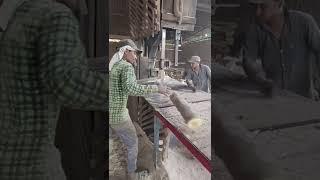 amazing Wood Cutting Lumber Mills I Sawmill in bd | Fast Cutting Wood Machines