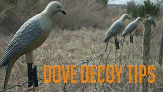 Three Dove Decoy Tips