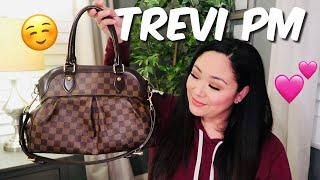 EVERYTHING YOU NEED TO KNOW ABOUT THE LOUIS VUITTON TREVI PM