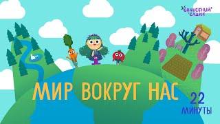 Мир вокруг нас  | СБОРНИК СЕРИЙ | Волшебный Садик