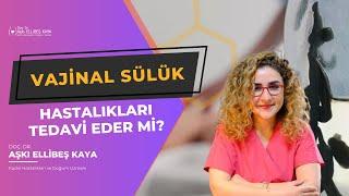 Vajinal Sülük, Hastalıkları Tedavi Eder mi? - Doç. Dr. Aşkı Ellibeş Kaya