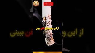 فکت‌های باورنکردنی درباره مغز و دنیای اطراف!  #فکت #دانستنی #تکنیک #علم #asmr #10million #youtube