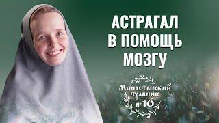 Чай из травы астрагала. Монастырский травник