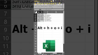 Excel Hotkeys for Expanding Rows & Columns!