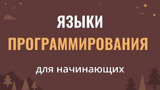 Языки программирования для начинающих