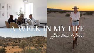 A Week in My Life Vlog | Joshua Tree Girls Trip & Office Tour