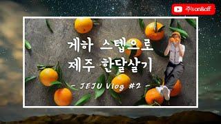 초원게스트하우스에 초대합니다! ON (객실소개,옥상,테라스,카페,게하스텝이 하는일,쉬는시간)