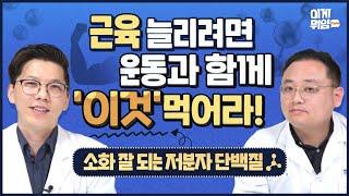 [이게뭐얌] 내 근육이 늘지 않은 이유? 건강한 근육 비법, 소화 잘 되는 저분자 단백질