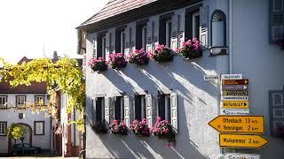 Die Metropolregion Rhein-Neckar - Impressionen aus Kirrweiler (Rheinland-Pfalz)