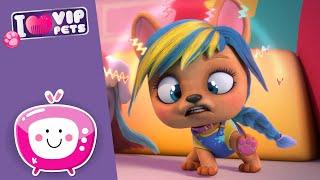  NO MORE COMPLAINTS! VIP PETS  New Episode  VIDEOS and CARTOONS for KIDS in ENGLISH