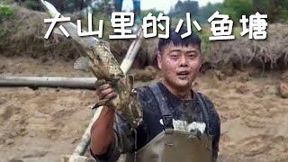 【戶外捕魚vlog】花6500包下一口大山裏的小魚塘，抓到最後手都沒力氣了！#三農