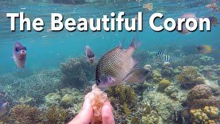 8 Places You MUST Visit in Coron, Palawan, Philippines
