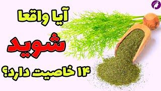 خواص شوید  14 خاصیت شوید این سبزی سرشار از ویتامین و مواد معدنی