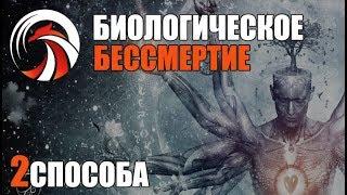 Как Стать БЕССМЕРТНЫМ (биологическое бессмертие)