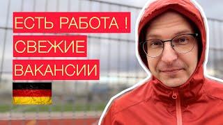 Работа в Германии. Новые Открытые вакансии. Работа есть. Делай только так!