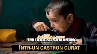 Îmi doresc să mănânc într-un castron curat…