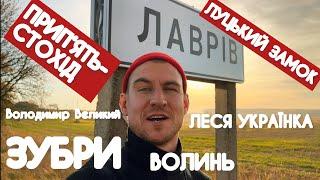 Лавромандри  Волинню. Від Володимирця до Устилуга.  Зубри. Прип'ять-Стохід. Луцький замок. Україна.